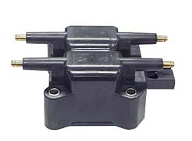 web ignition coil 5269670